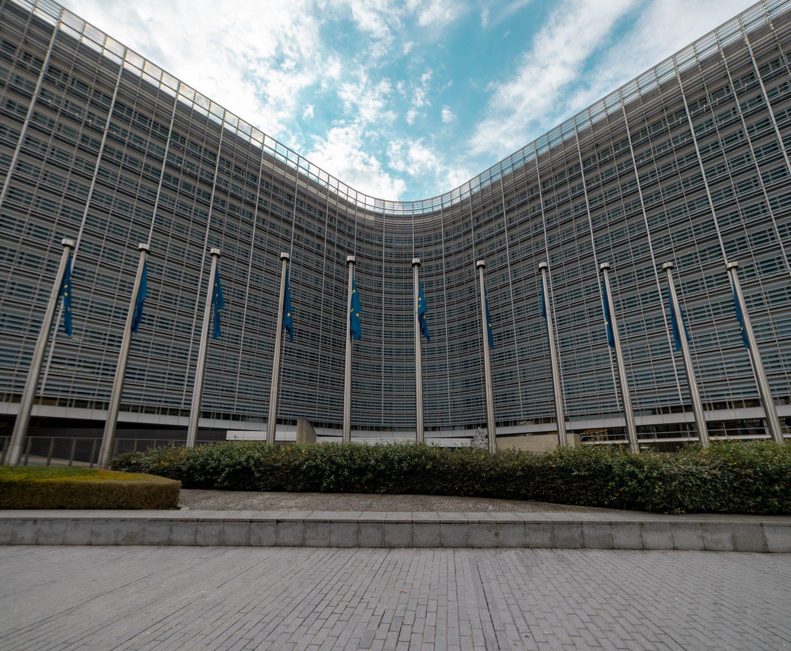 Quelles suites pour le People’s Climate Case ?