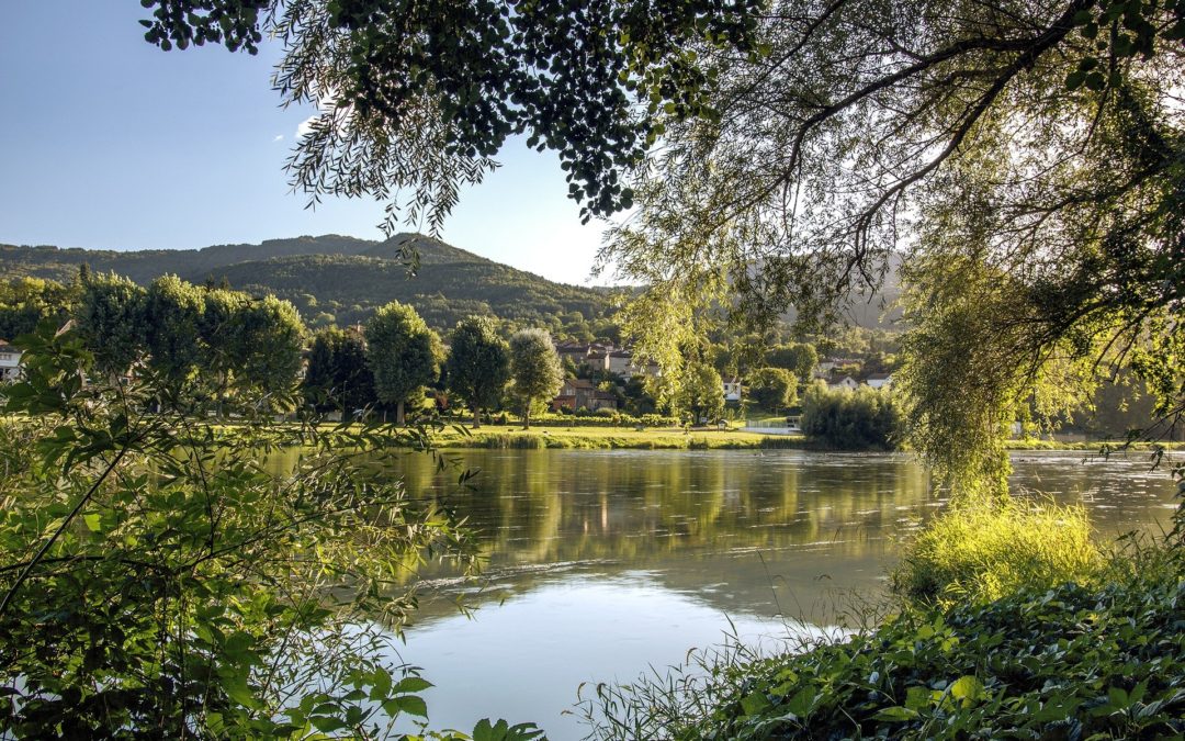 Un Parlement pour la Loire ?