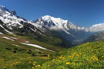 mont-blanc-1527997_1920