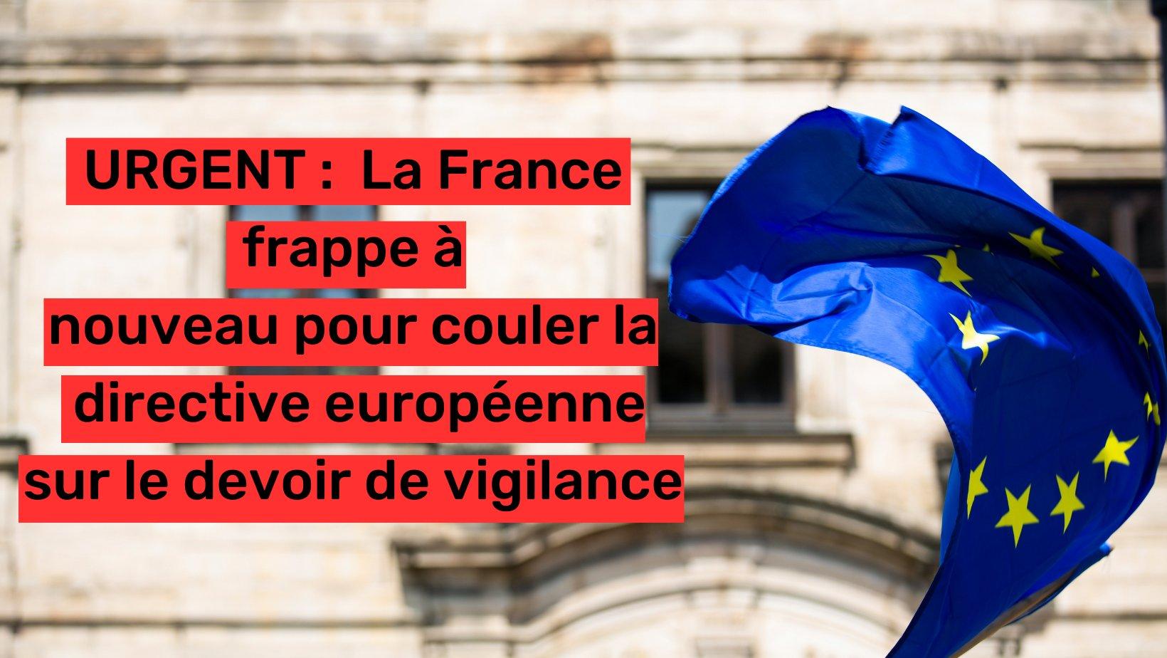 La France frappe à nouveau pour couler la directive européenne sur le devoir de vigilance