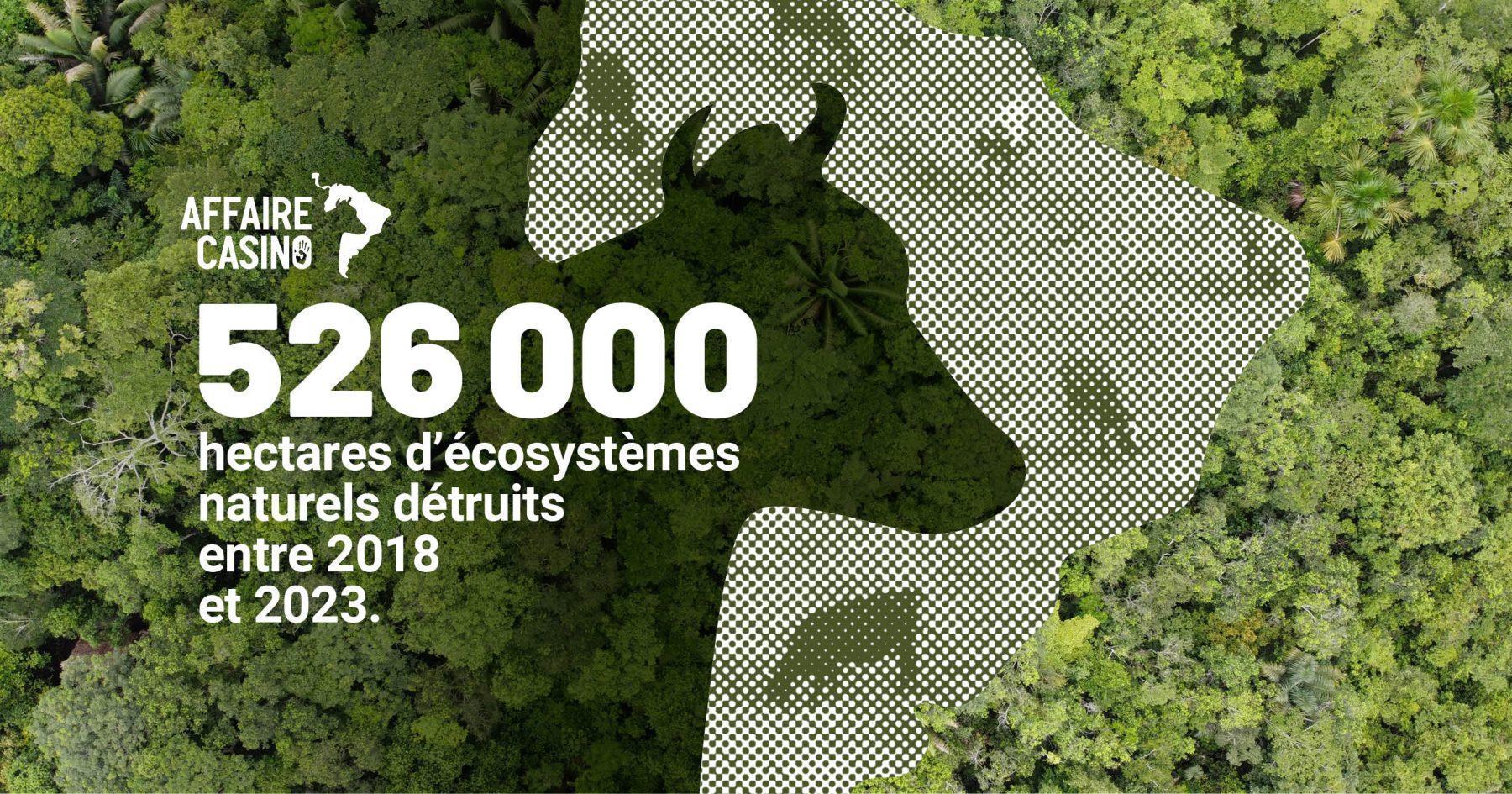 Une nouvelle étude révèle l’ampleur de la déforestation liée à Casino au Brésil