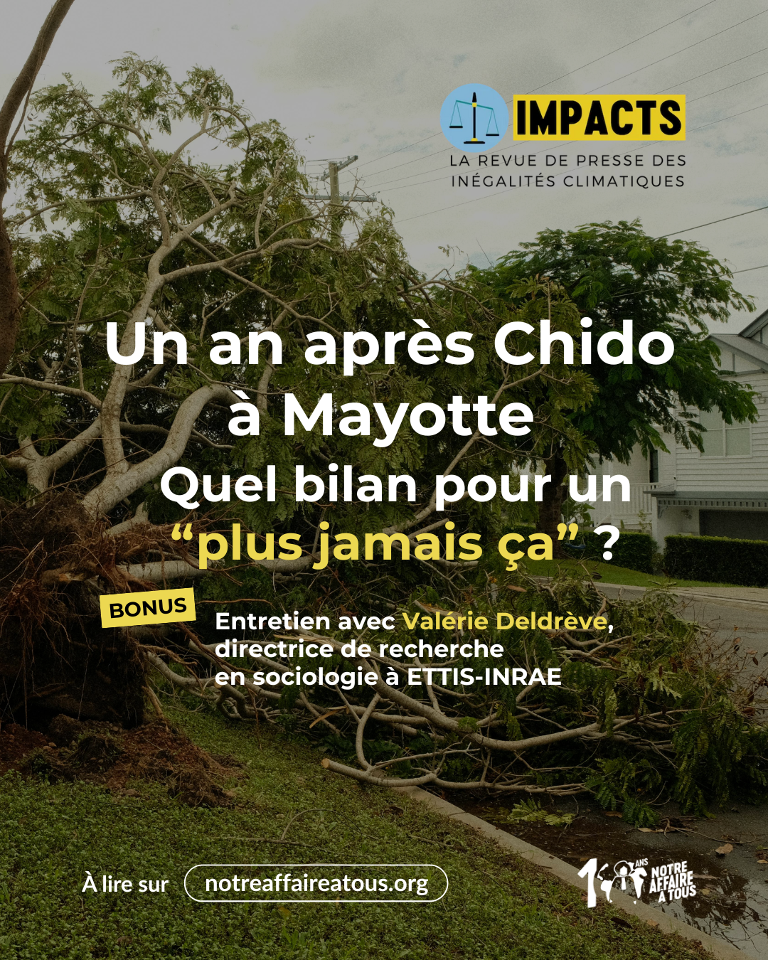 IMPACTS – un an après Chido à Mayotte : quel bilan pour un « plus jamais ça »