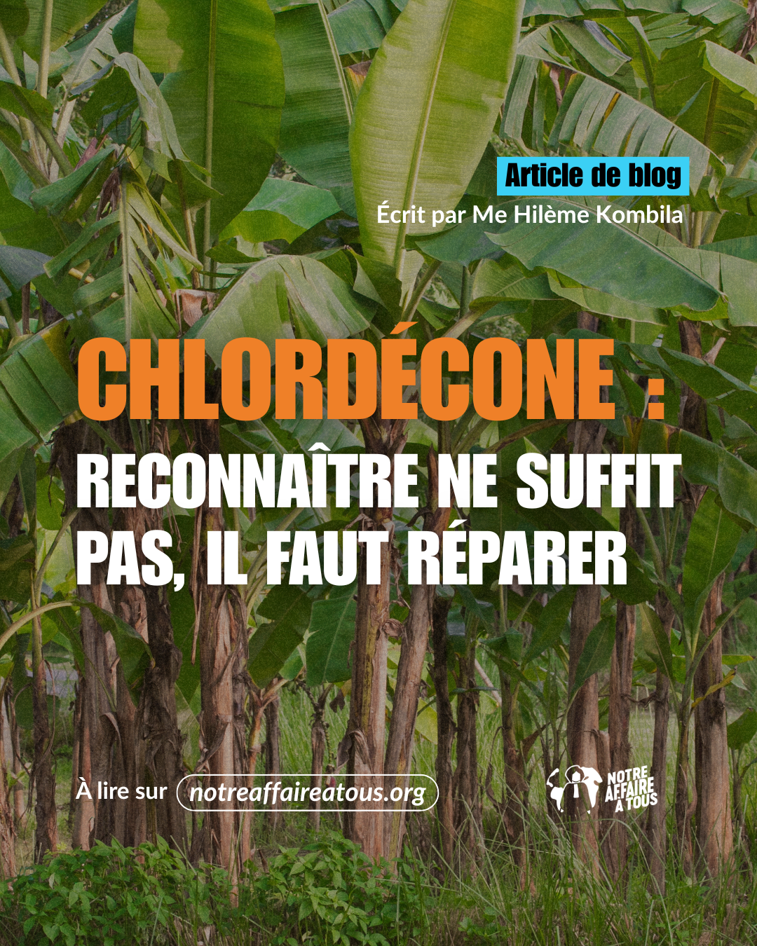 Chlordécone : reconnaître ne suffit pas, il faut réparer