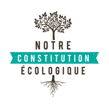 Vignette Constit Eco Vignette Constit Eco